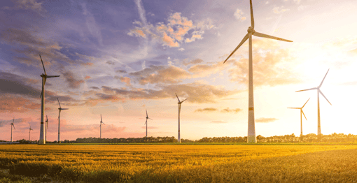 Image for Ready to reduce your carbon footprint? It could be time to move your Shareholder meeting online