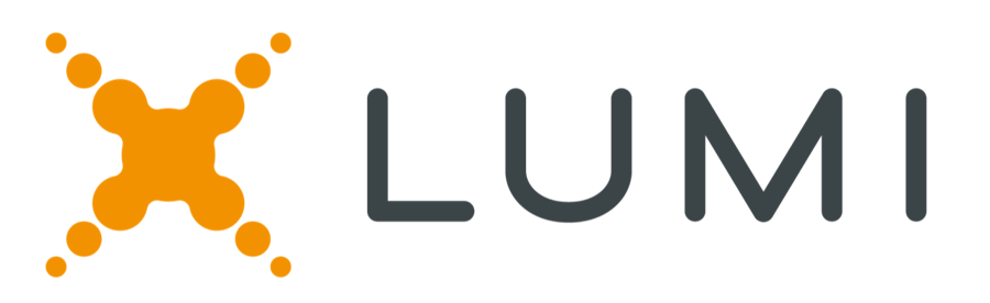Lumi Horizontal Logo-website_LUMI logo- slategrey