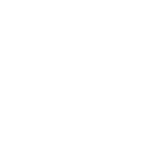 icon-event-tech-partner-steine-hybrid-events-300x300