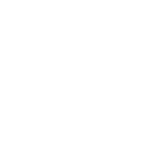 icon-event-tech-partner-steine-online-events-300x300