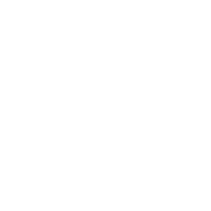 icon-event-tech-partner-steine-praesenz-events-300x300