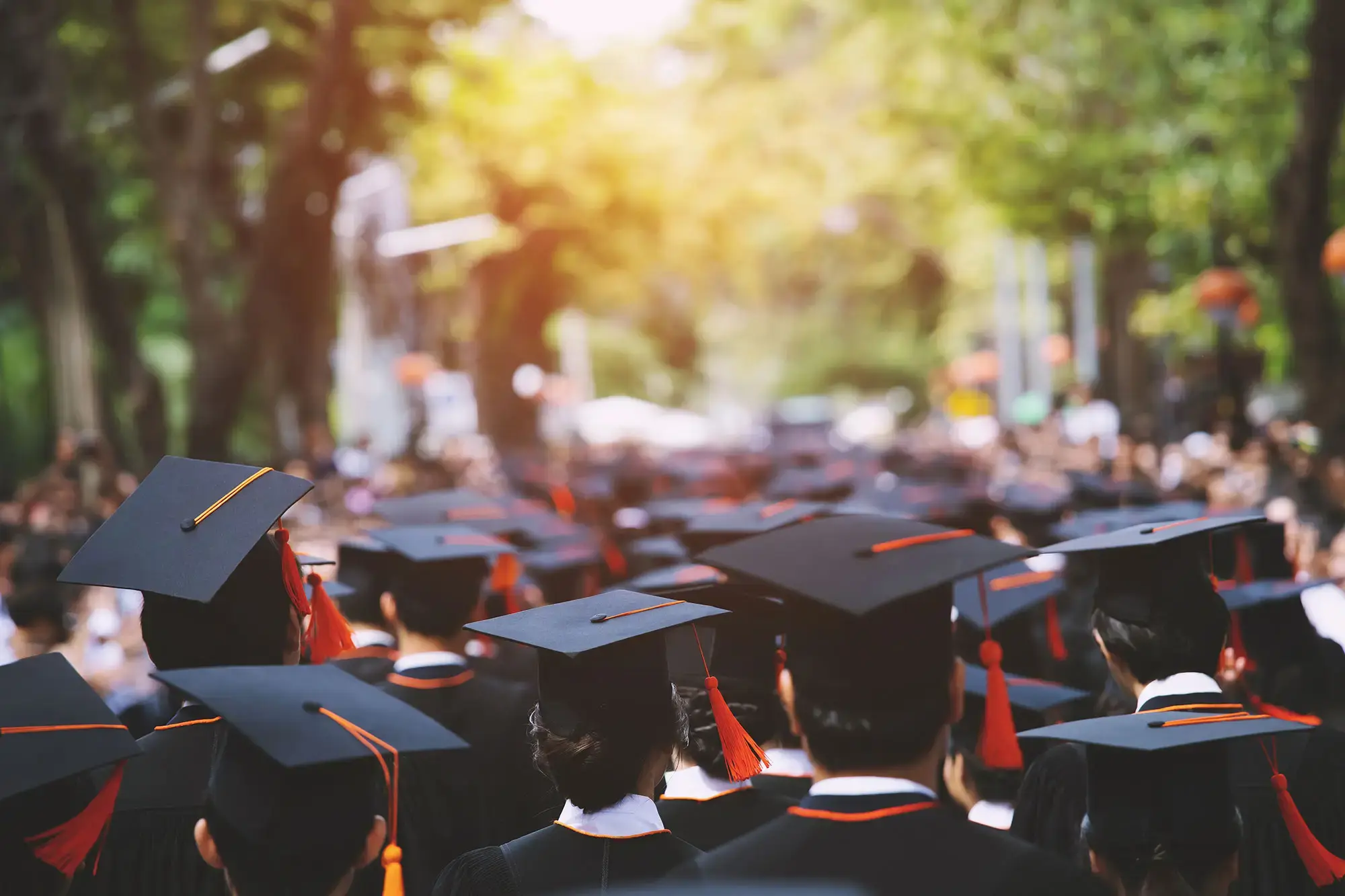 lumi-global-education-graduation-hero